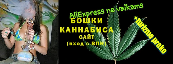 твердый Абаза