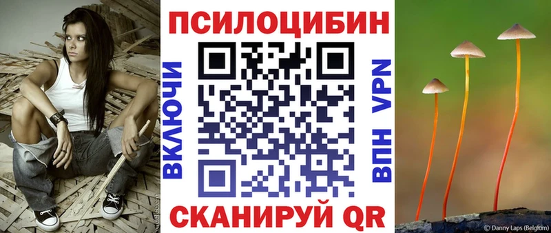 ссылка на мегу как зайти  Дербент  Псилоцибиновые грибы Psilocybe 